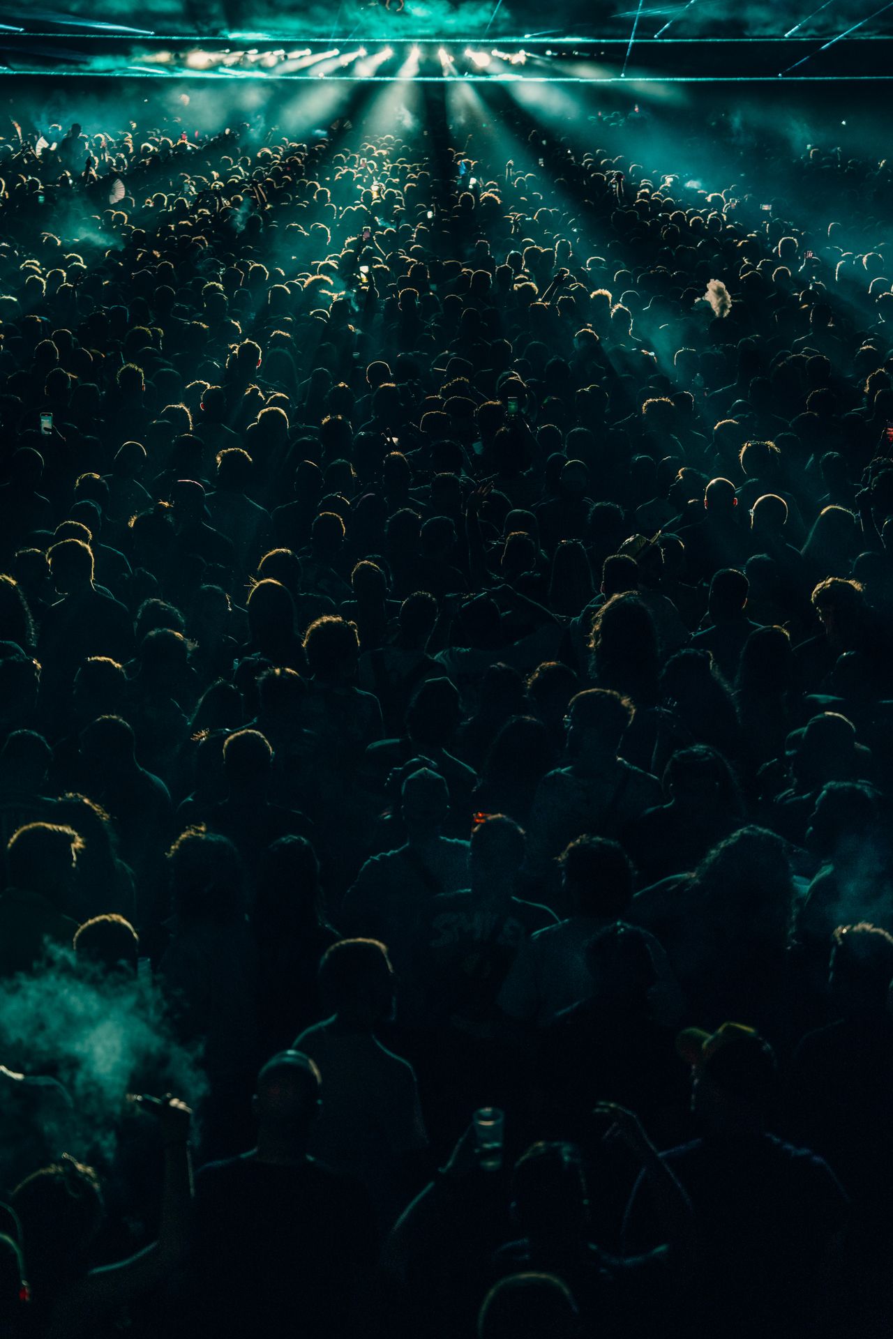 Energetic concert crowd at a live show